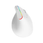 Belaidė vertikalioji pelė "Delux M618C" 2.4G 1600DPI RGB (balta)